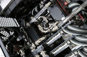 500x1000px-LL-6ce80473_19