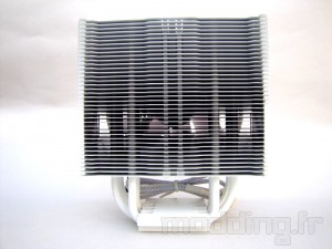 lepa_lv12_010