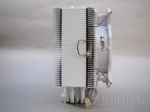lepa_lv12_011