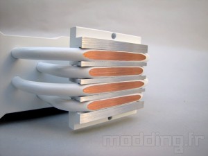 lepa_lv12_015