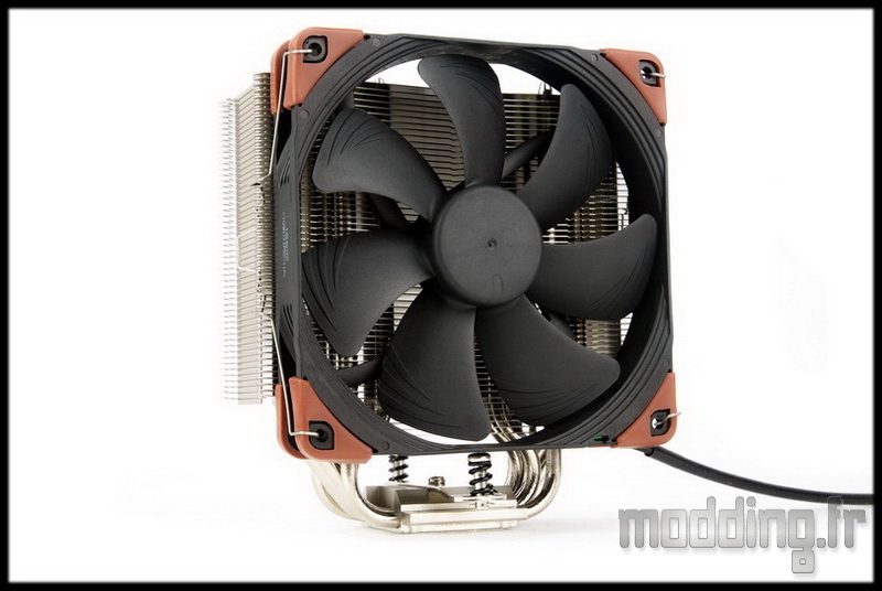 Noctua 51