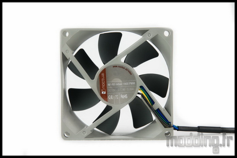 Noctua 56