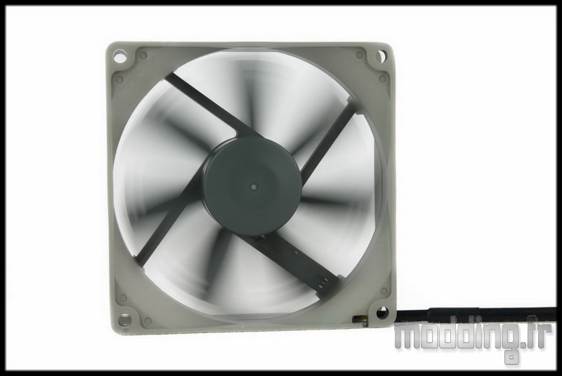 Noctua 64