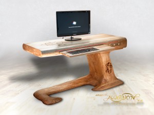 Lizard_desk_ses_1