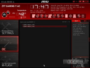 MSI_SnapShot_21