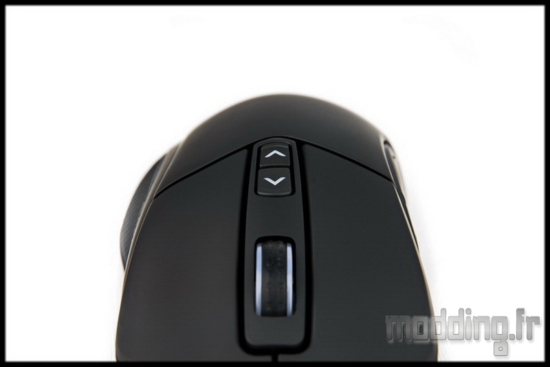 Mizar 12