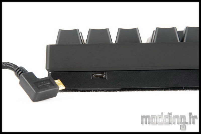 Rapid 15