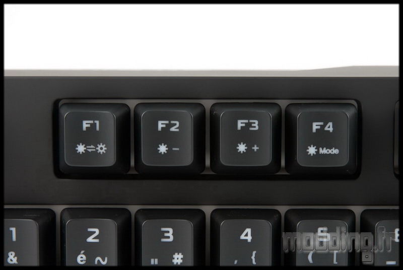 Rapid 22