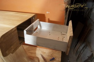 lizard_desk_251