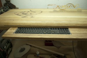 lizard_desk_276