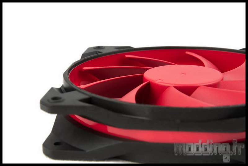 Maelstrom 120 20