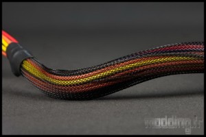 Hexa+ 11