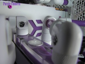 snef (5)