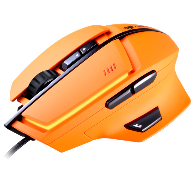 COUGAR se lance sur une souris