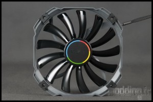 H5 31