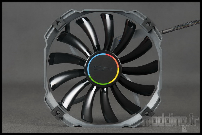 H5 31