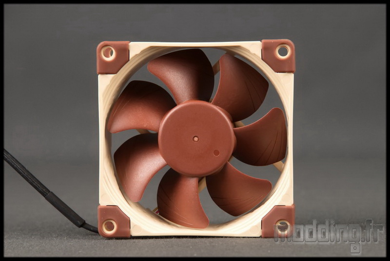 Noctua NF-F12 PWM - Ventilateur boîtier - Garantie 3 ans LDLC