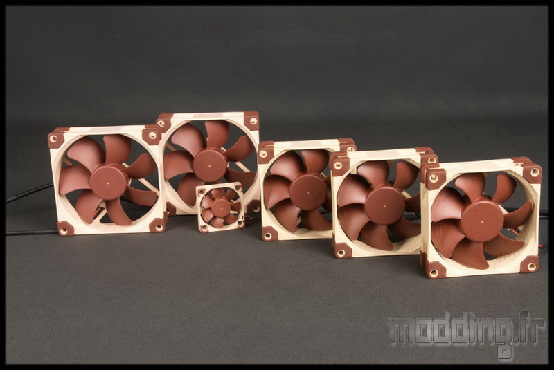 Noctua 80-92 Intro