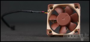 Noctua 80-92 Teaser 02