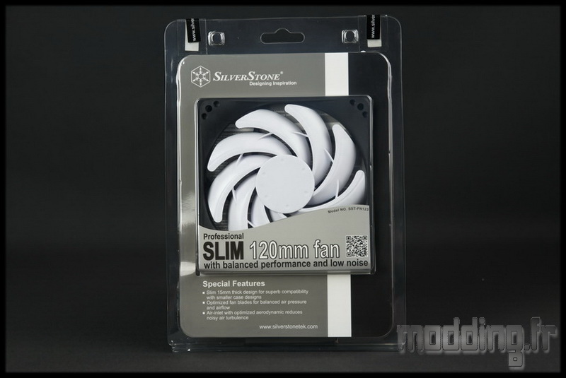 Silverstone slim 01
