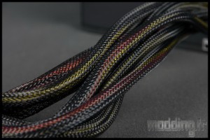 Straight P10 17