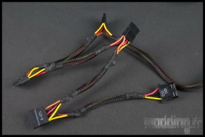Straight P10 21