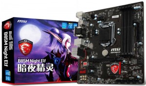 Night-Elf