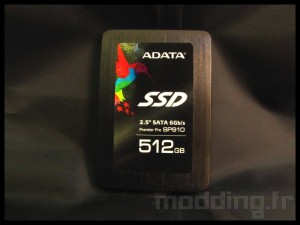 adata_sp910_004