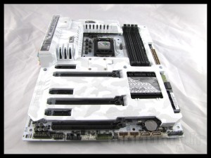 sabertooth_mark_s_009