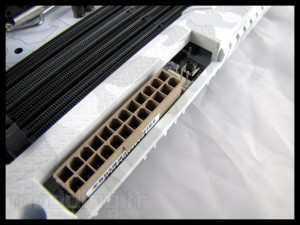 sabertooth_mark_s_013