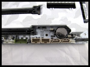 sabertooth_mark_s_016