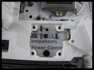 sabertooth_mark_s_022