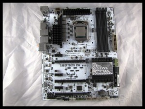 sabertooth_mark_s_028