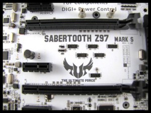 sabertooth_mark_s_029