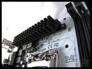 sabertooth_mark_s_032
