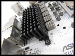 sabertooth_mark_s_033