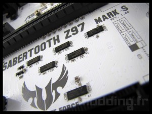 sabertooth_mark_s_035