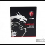 GTX 970 Gaming 10