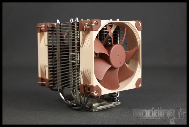 NH-D9L NH-U9S 101