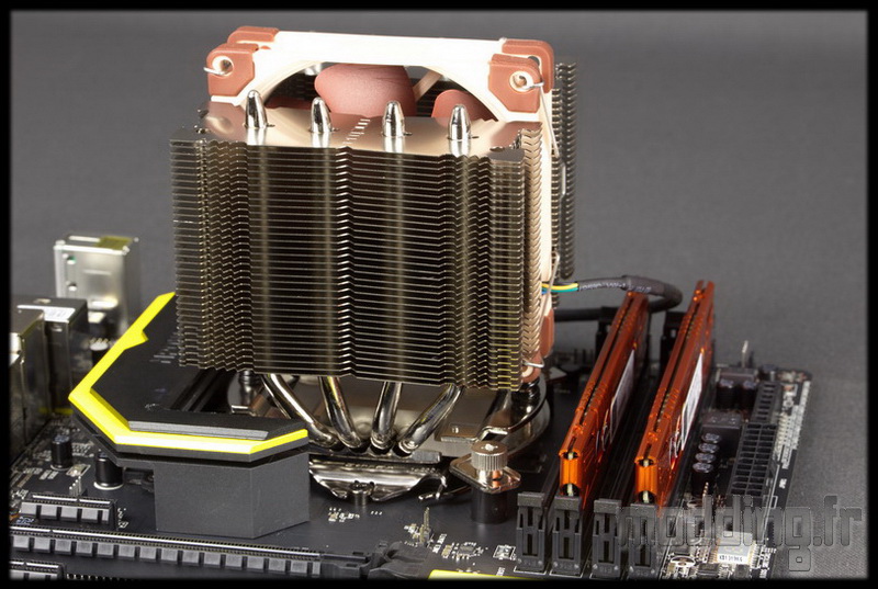 NH-D9L NH-U9S 89