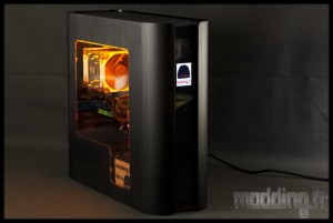 Pandora 102