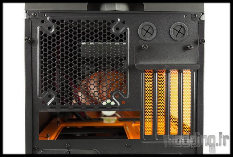 Xpredator Cube 25