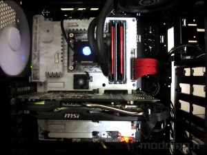 sabertooth_mark_s_0122
