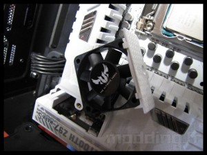 sabertooth_mark_s_040