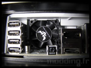 sabertooth_mark_s_041