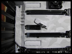 sabertooth_mark_s_042