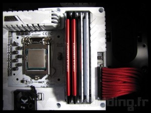 sabertooth_mark_s_043