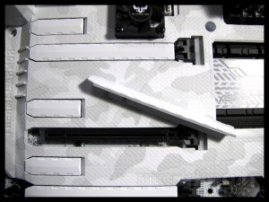 sabertooth_mark_s_045