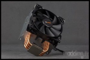 Pure Rock 38