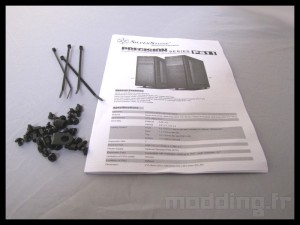 silverstone_ps11_26